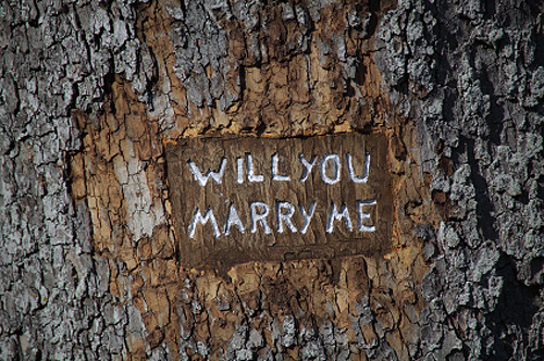 will-you-marry-me1